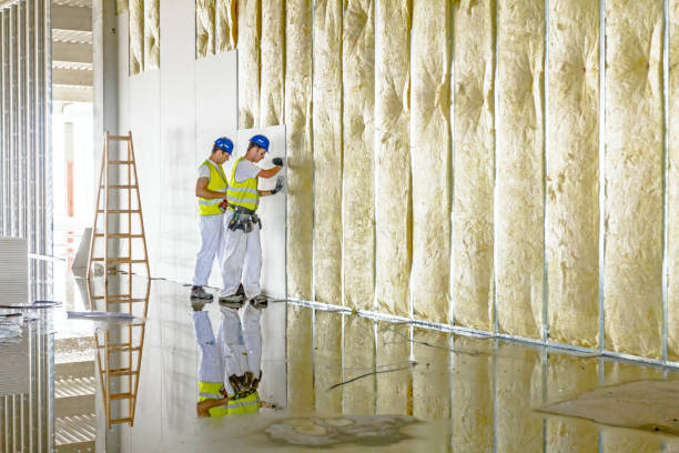 Types of Insulation We Offer in Clinton, SC